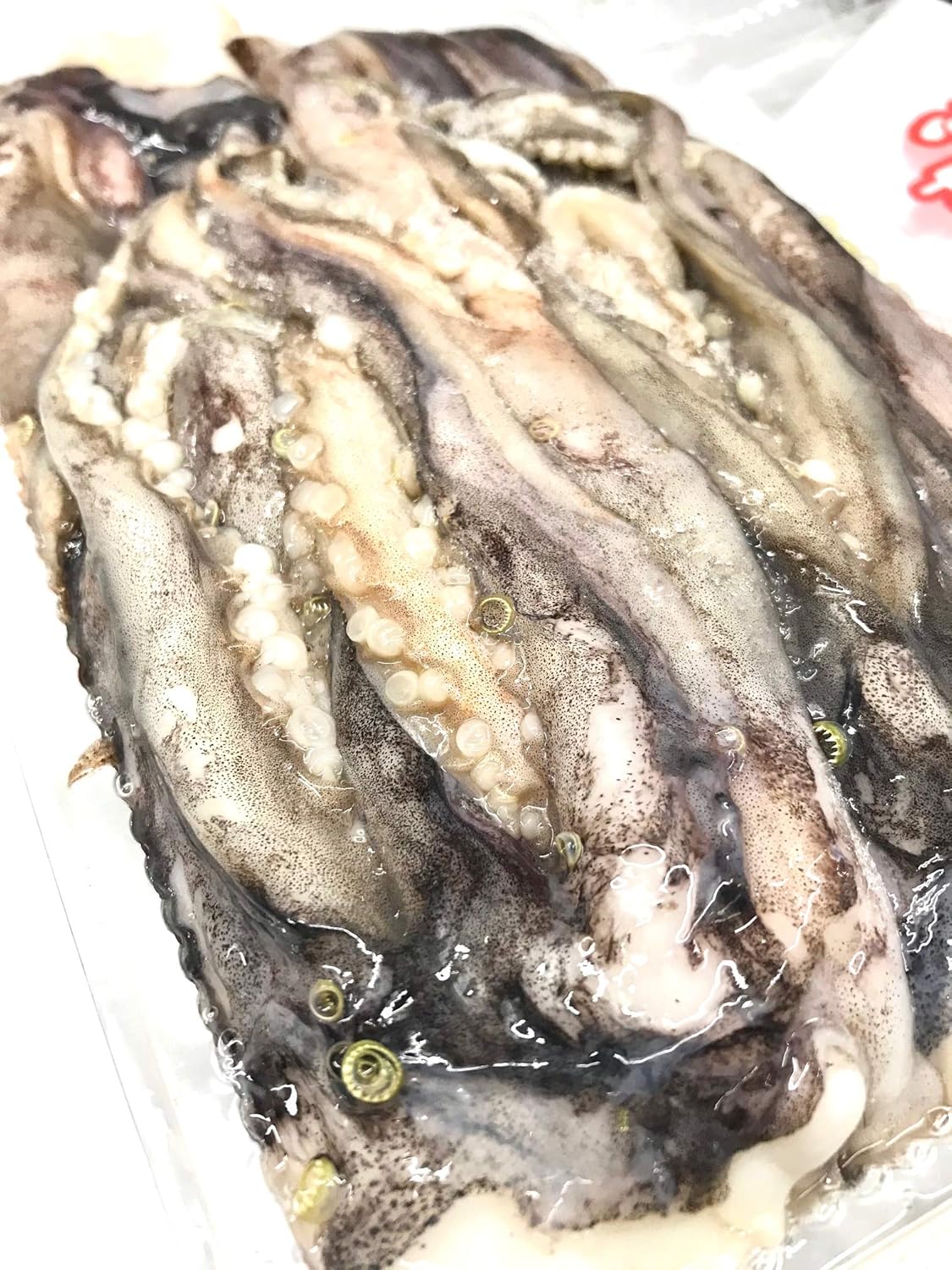 Amazon いかげそ 赤イカ 10kg いか足君 焼物 揚物 煮物 バーベキューなど用途色々 国産イカゲソ 冷凍便 うまいもの市場 イカ 通販