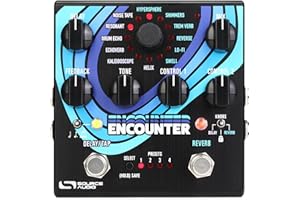 Source Audio Encounter Ambient Delay/Reverb Pedal