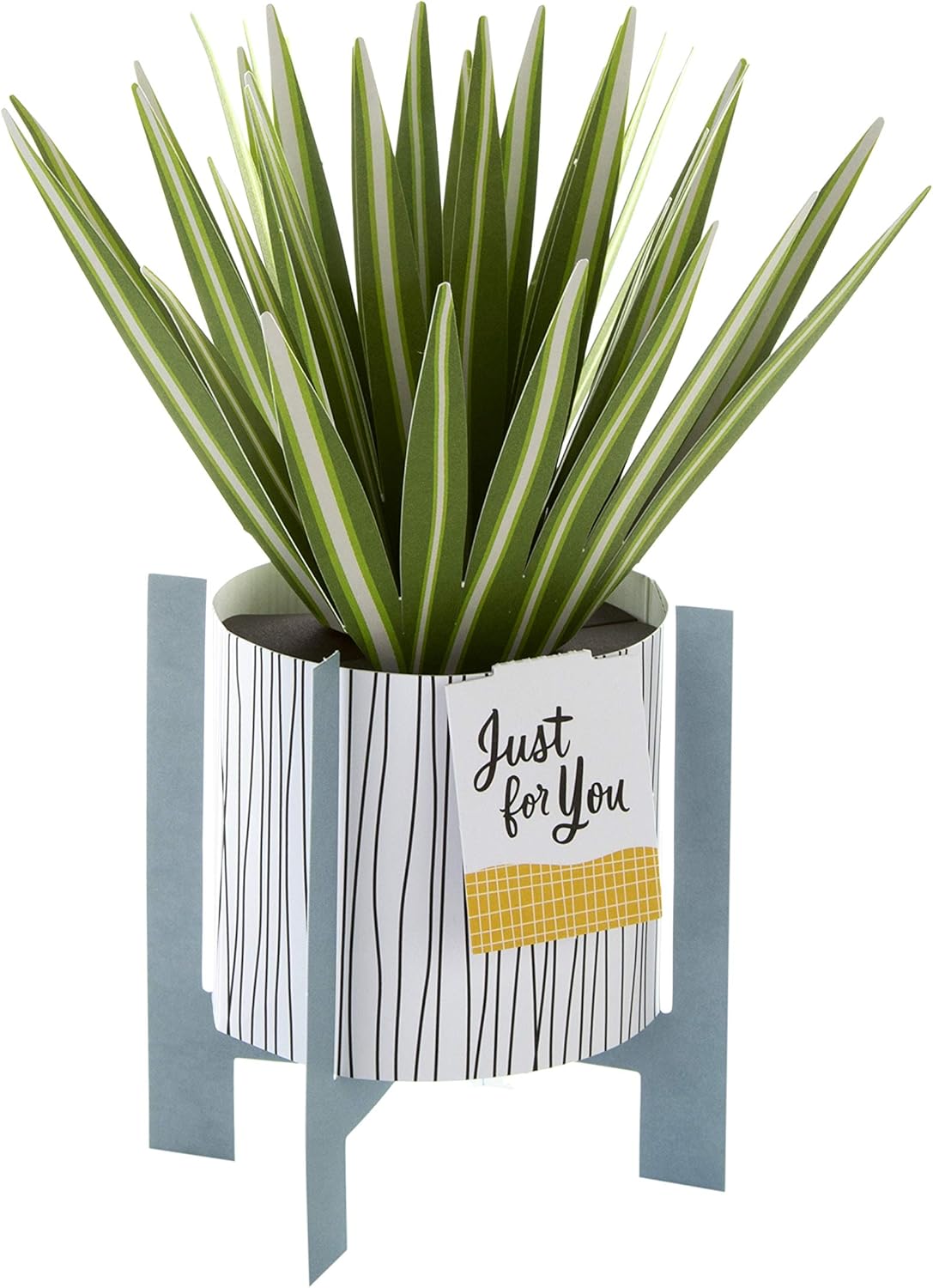 Hallmark Pop Up Card - Contemporary Spider Plant Design, General 3D Spider Plant, 16.5 cm by 13.7 cm - Image 4