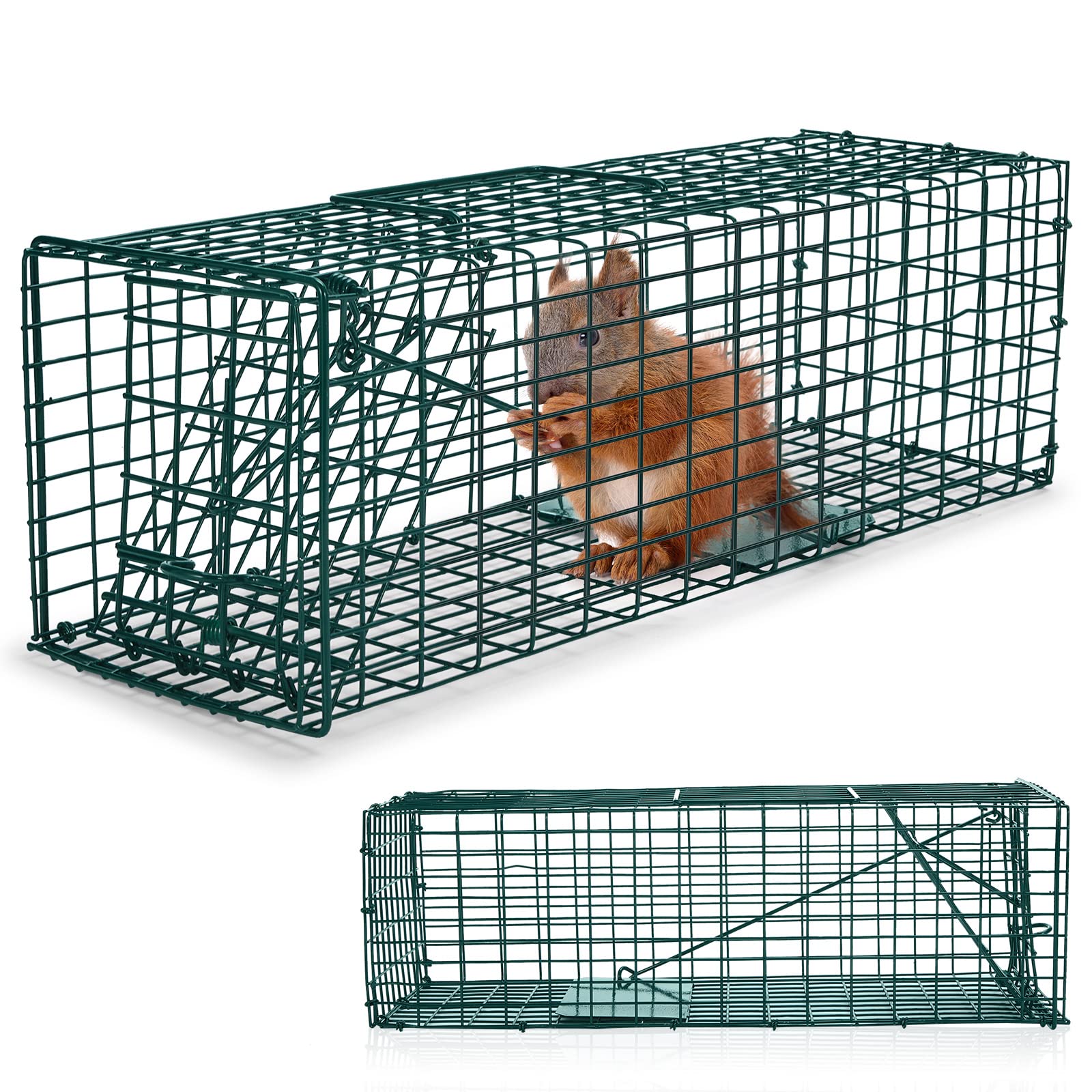 Photo 1 of Qualirey 2 Pcs Humane Squirrel Trap Heavy Duty Live Animal Chipmunk Catch and Release Rat Trap for Outdoor Small Animals Mouse Raccoon Stray Cat Rodent Weasels(Green)