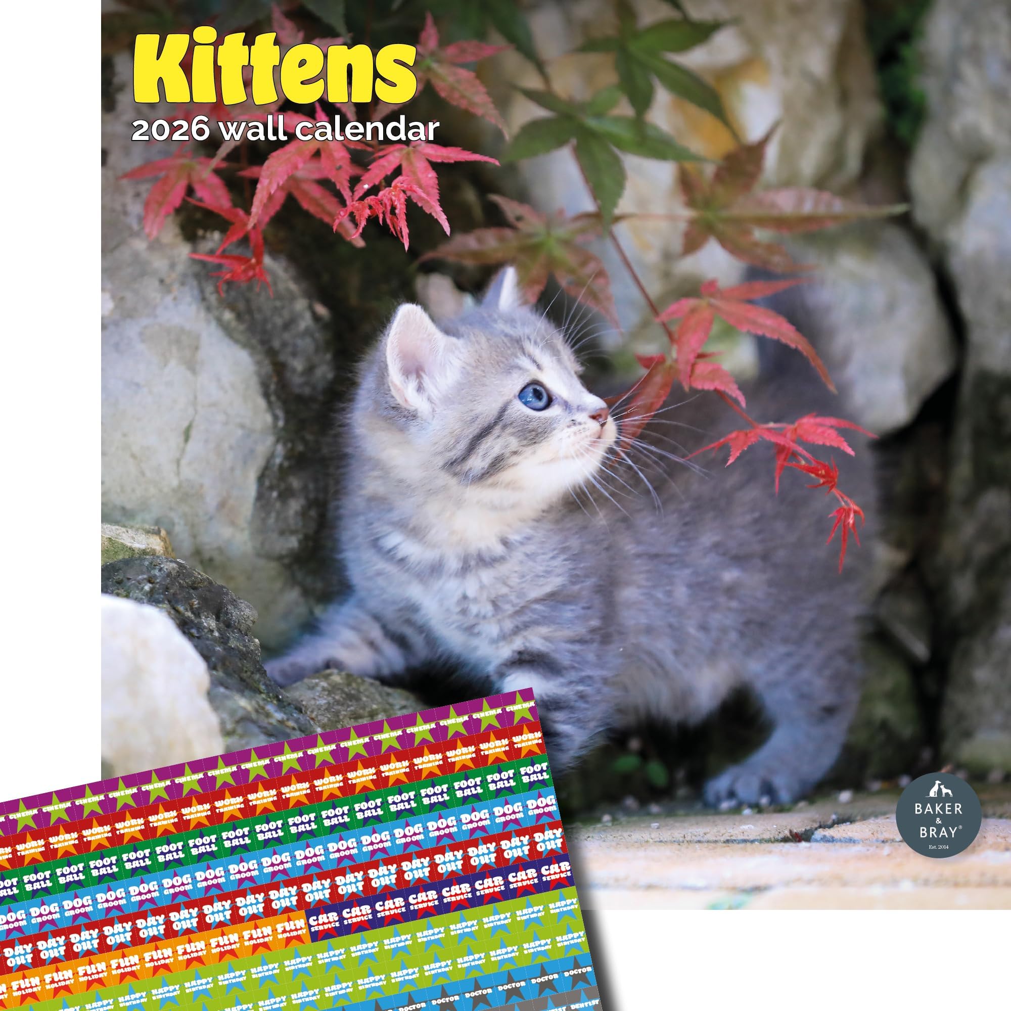 Baker and Bray Kittens Calendar 2026, Large Square Wall Calendar With Organisational Stickers, 16 Month, Kittens Gift Cat Calendar