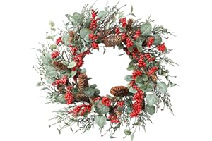 YNYLCHMX 22 Inch Winter Wreath for Front Door, Winter Wreath with Eucalyptus Leaves Red Berry Pine Cones Pine Needle, Artificial Door Wreaths for Indoor Farmhouse Holiday Decoration