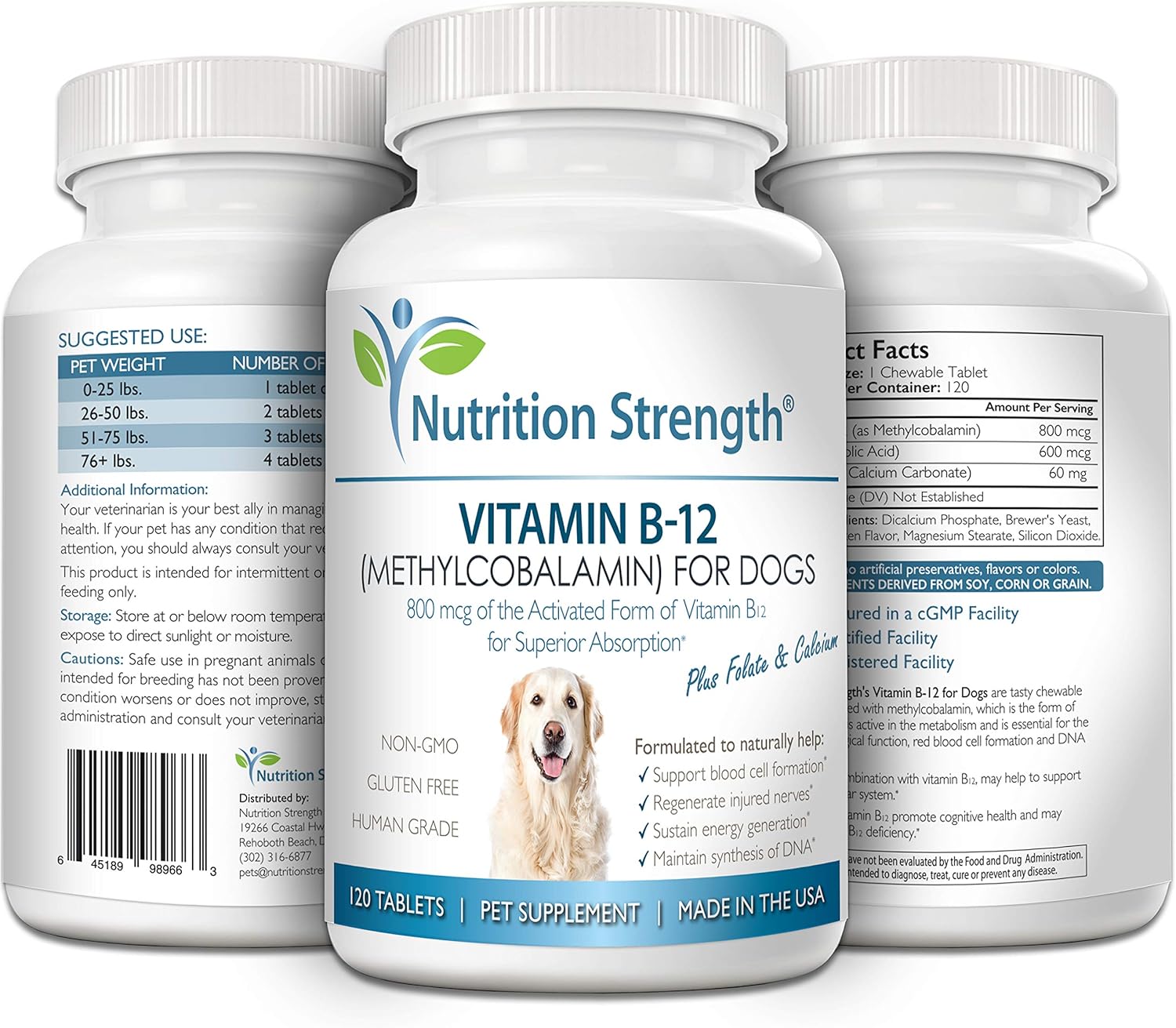 vitamin b12 supplement for dogs