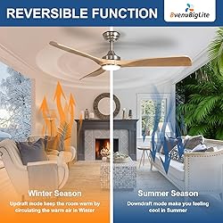 BvenuBigLite Outdoor Ceiling Fan with Light: 52
