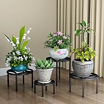 81W4Qt9aQ2L._AC_UL210_SR210,