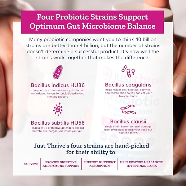 JUST THRIVE PROBIOTIC & ANTIOXIDANT SUPPLEMENT – 100% SPORE-BASED DIGESTIVE AND IMMUNE SUPPORT – GLUTEN FREE, 30 CAPS