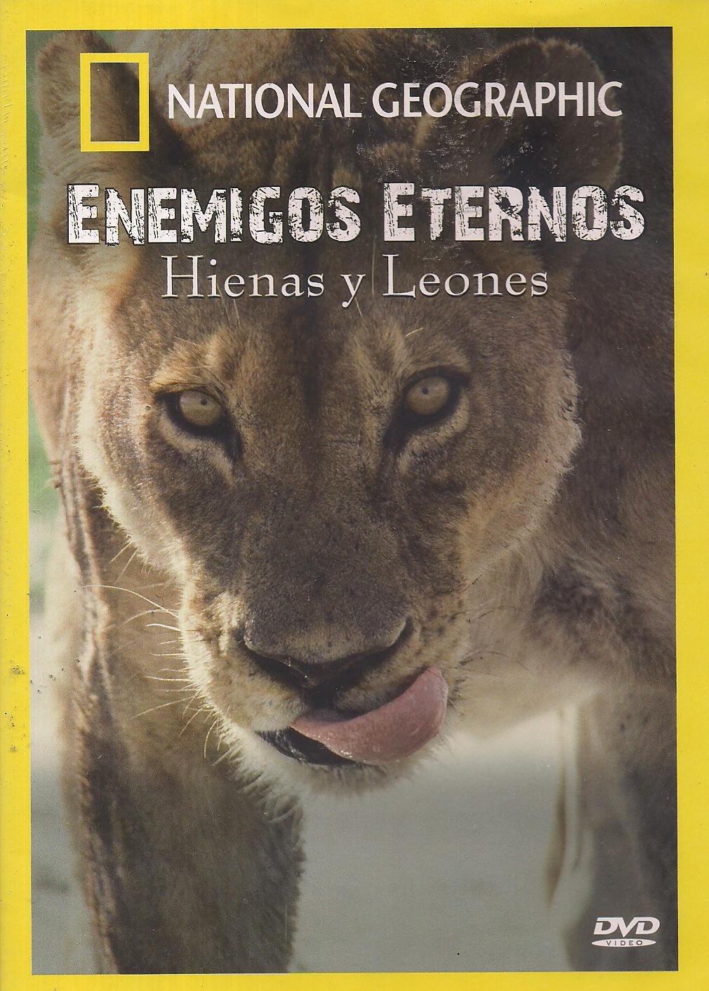Amazon.com: ENEMIGOS ETERNOS HIENAS Y LEONES (ETERNAL ENEMIES: LIONS
