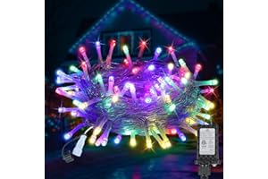 FAIRYGLIM 33FT 100LED Christmas Lights Plug in,Outdoor Indoor Connectable Fairy Lights with Timer and 8 Modes,Christmas Tree Lights for Garden Party Wedding Christmas Decoration(Multi-Color