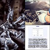 CHUYOU 230 Pcs Nylon Lock Nuts Set M3-M8 Stainless Steel Nylock Assortment Kit view 7