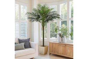 FLOWORLD Palm Tree Artificial Tropical Plant 6FT Tall Faux Plants Indoor Fake Floor Plants Decorative Palm Tree House Large Office Plant Artificial Palm Trees for Home Decor…