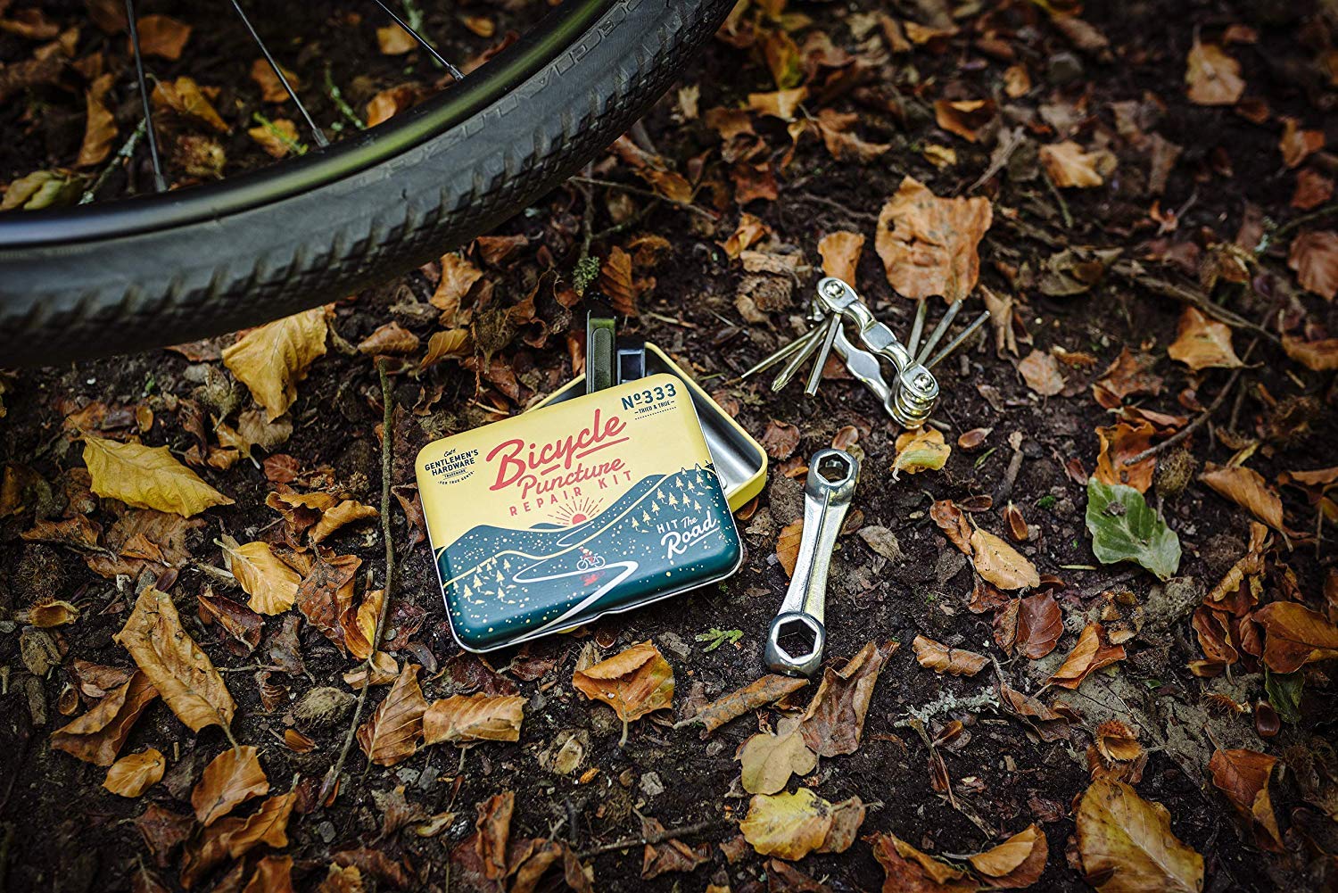 View 5