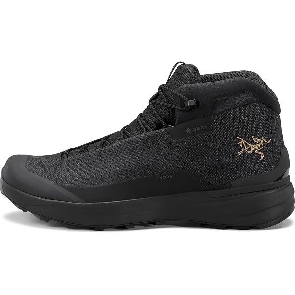 Amazon.com: Arc'teryx Aerios FL Mid GTX Boot Men's | Fast and