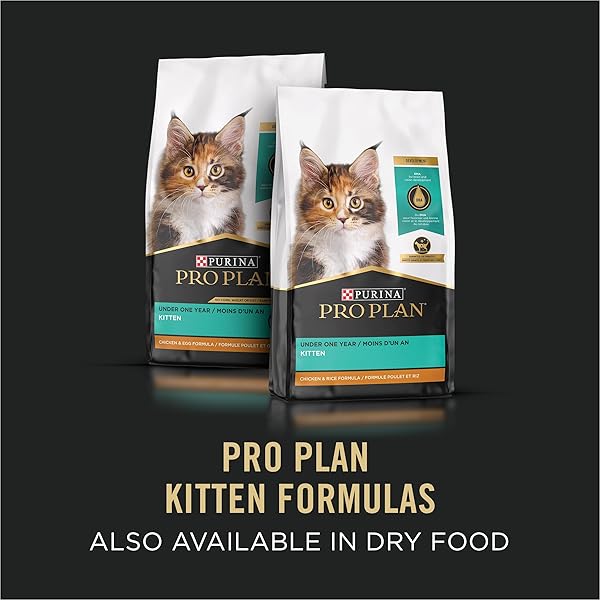 PURINA PRO PLAN GRAIN FREE, PATE, HIGH PROTEIN WET KITTEN FOOD, DEVELOPMENT SALMON & TUNA ENTREE – (PACK OF 24) 3 OZ. PULL-TOP CANS
