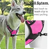 Belababy Dog Harness Small Medium Large No Pull Adjustable Reflective Front view 4