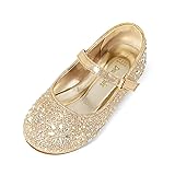 DREAM PAIRS Toddler Girl's Dress Shoes Mary Jane