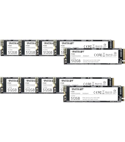 Amazon.com: Patriot Memory P210 SATA 3 512GB SSD 2.5 Inch Internal