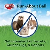 Kaytee Run About Ball Clear 17.8 cm Diameter for Hamsters Gerbils view 5