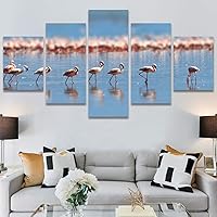 SIGNWIN 5 Panel Canvas Wall Art Modern Art Birds Bohemian Expressive Group Multicolor Photography for Home Decorations Ready to Hang - 60