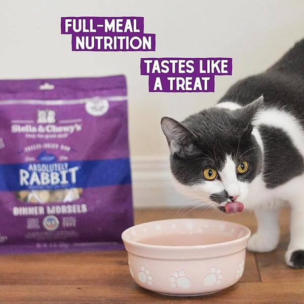 STELLA & CHEWY’S FREEZE-DRIED RAW CAT DINNER MORSELS – PREMIUM RABBIT RECIPE WITH 98% RESPONSIBLY-SOURCED MEAT & ORGANS – NATURAL GRAIN-FREE CAT & KITTEN FOOD – MADE IN USA – 3.5 OZ