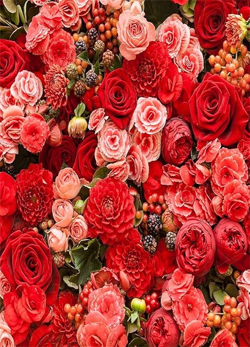 Wallpapers Red Rose Girl Queen Rose Rose Many Roses