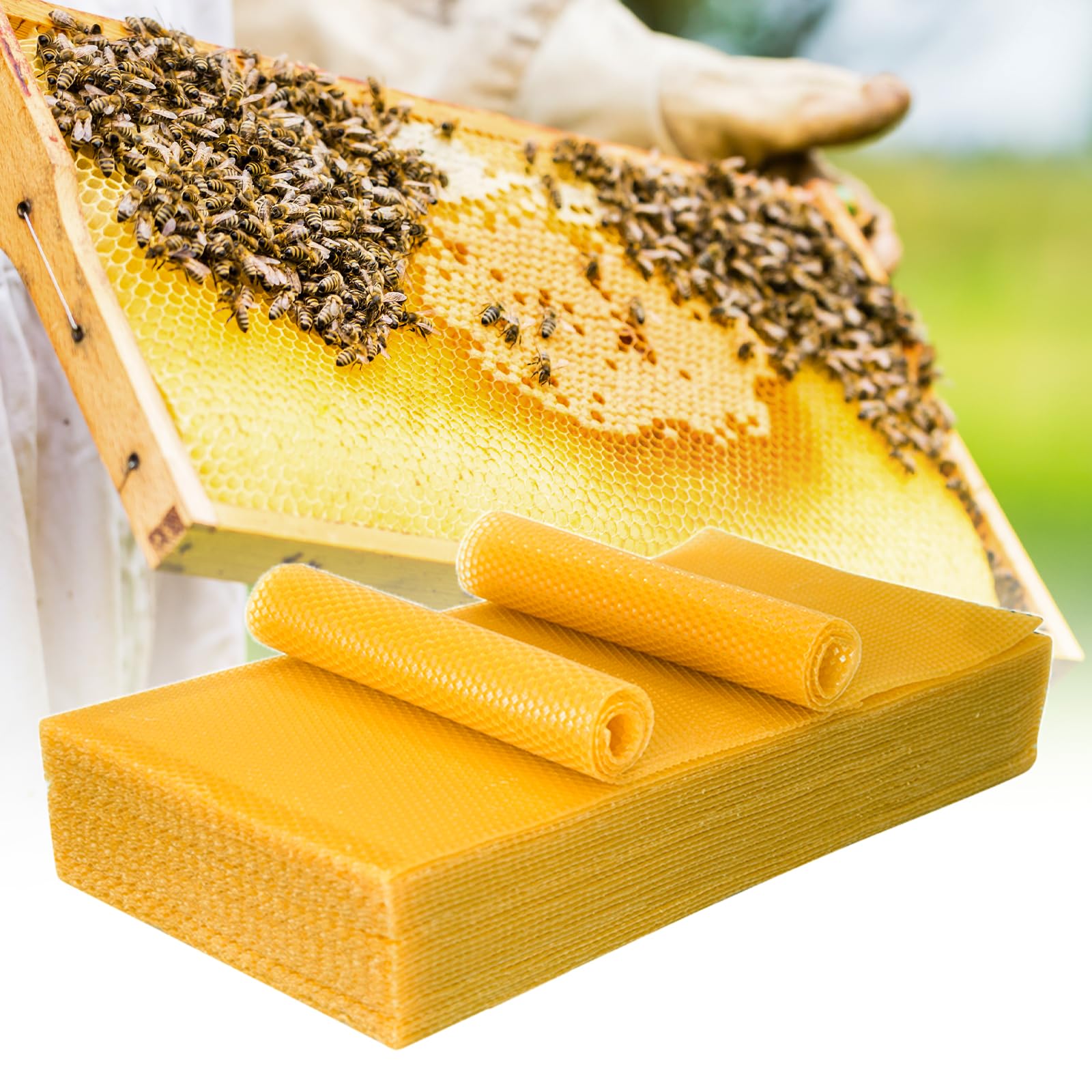 Photo 1 of 30 Pcs Beeswax Sheets, Bee Hive Frames and Wax Foundations Beeswax Honeycomb Sheets for Beekeeping Candle Making
