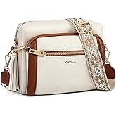 HILAEX Small Leather Crossbody Bags for Women Anti theft Purses and Handbag Shoulder Hangbag with Wide Strap Tassel