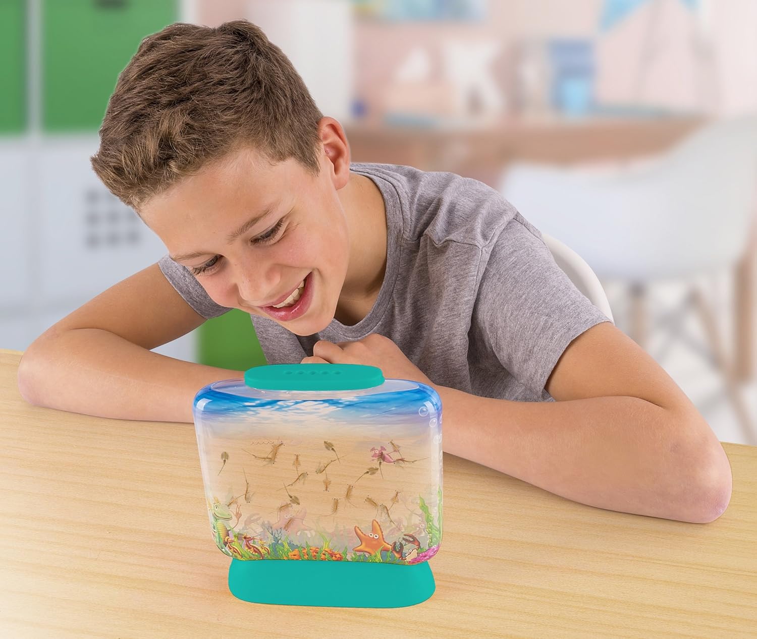 aqua dragons sea friends