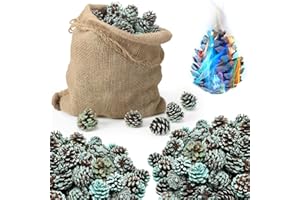 Shappy 170 Pcs Flame Color Changing Pine Cones Fireplace and Firepit Color Burning Pinecones with Green Blue Color Flame for Holidays Campfire Wood Stove Color Changing(4 lb in Burlap Bag)