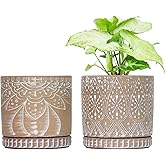 YFFSRJDJ 6 Inch Indoor Plant Pots with Drainage Holes and Saucers, Ceramic Planter for Plants, Flower Pot - Set of 2