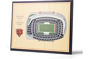YouTheFan NFL 5-Layer StadiumView Wall Art