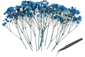 PATIKIL Mini Dried Gypsophila Flower Kit, 30Pcs 4 Inch Dark Blue Natural Pressed Floral Bundles with Tweezer for DIY Resin Cr