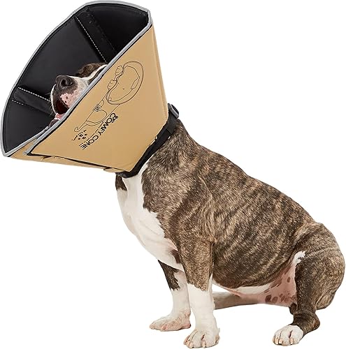 All Four Paws Comfy Cone Pet Cone for Dogs, Cats, Medium, Tan