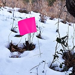 Pink Marking Flags 1000 Pack - 4x5x15 Inch Pink