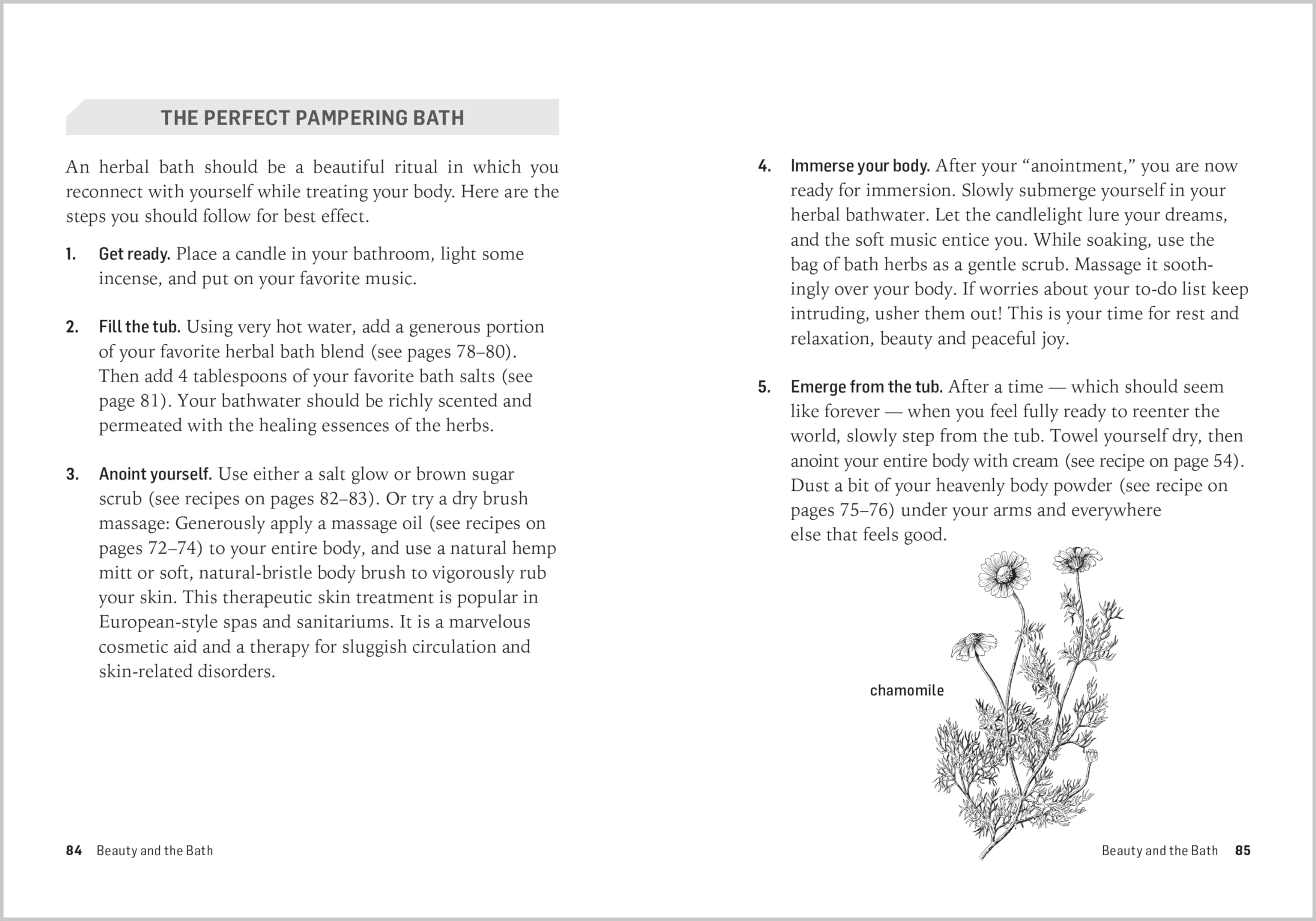 Herbs for Natural Beauty: Create Your Own Herbal Shampoos, Cleansers, Creams, Bath Blends, and More. A Storey BASICS® Title Herbs for Natural Beauty: Create Your Own Herbal Shampoos, Cleansers, Creams, Bath Blends, and More. A Storey BASICS® Title Paperback Kindle