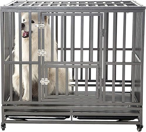 two dog crates in same room