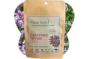 FLAWN SEED KITS Flawn Seed Creeping Thyme Seed, Pollinator Friendly, Low Maintenance, Lawn Alternative, Ground Cover, Compostable Pouch, Covers Up to 2,000 SqFt