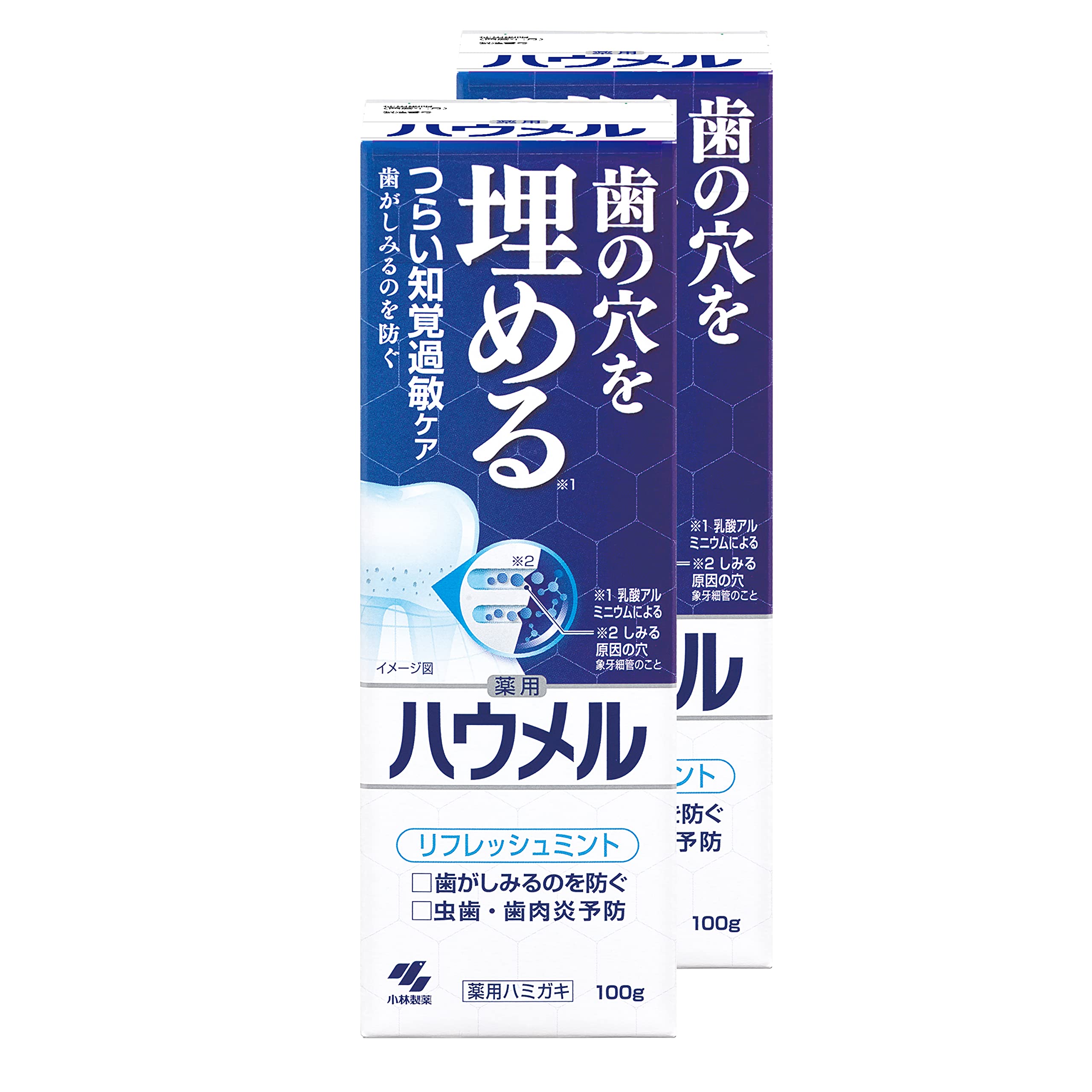 【まとめ買い】ハウメル 知覚過敏ケア 薬用ハミガキ 100g×2個 歯の穴を埋める 小林製薬 【医薬部外品】商品画像