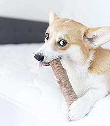 Petstages Dogwood Durable Dog Chew Toy, Medium