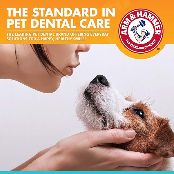 ARM & HAMMER FOR PETS FRESH BREATH ENZYMATIC DOG DENTAL CARE KIT – INCLUDES DOG TOOTHPASTE, DUAL SIDED TOOTHBRUSH AND FINGERBRUSH – BAD BREATH TREATMENT, CHICKEN FLAVOR, 2.5 OUNCE