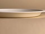 GreFusion 9 Inch Strong Paper Plates 125 Pack Sugarcane Eco Friendly White view 9