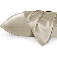 Bedsure Satin Pillowcase for Hair and Skin Queen - Taupe Silk Pillowcase 2 Pack 20x30 inches - Satin Pillow Cases Set of 2 wi