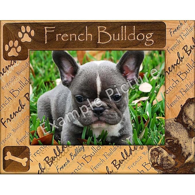 French Bulldog Wood Picture Frame by Studio Select Amazon.co.uk
