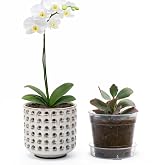 D'vine Dev Orchid Pot, Clear Pot &amp; Saucer, Smoked White, 4.5 in, 28-A-Z-1 | Dual-Pot System, Aerated Design, Improved Drainage &amp; Airflow, Root Visibility, Flexible Use for Orchids and Houseplants