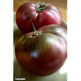 Cherokee Purple Heirloom Tomato Seeds - 75+ Non-GMO, Open-Pollinated, 80-Day Determinate - Great for Fresh Eating, Canning, and Sauce