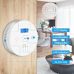 Combination Smoke Carbon Monoxide Alarm Detector