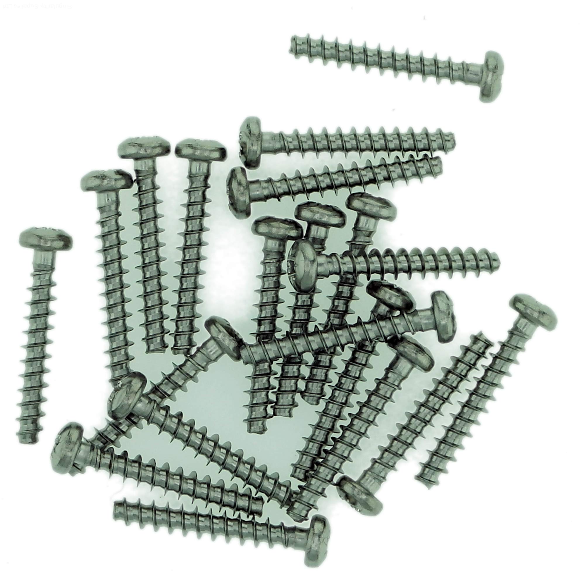 D4 (4mm x 12mm) Pozi Pan Screws for Plastic - Stainless Steel (A2) (Pack of 20)