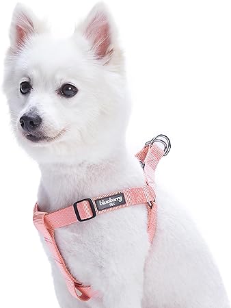 step in dog harness for small dog