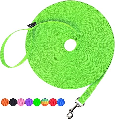 Hi kiss dog leash Clearance