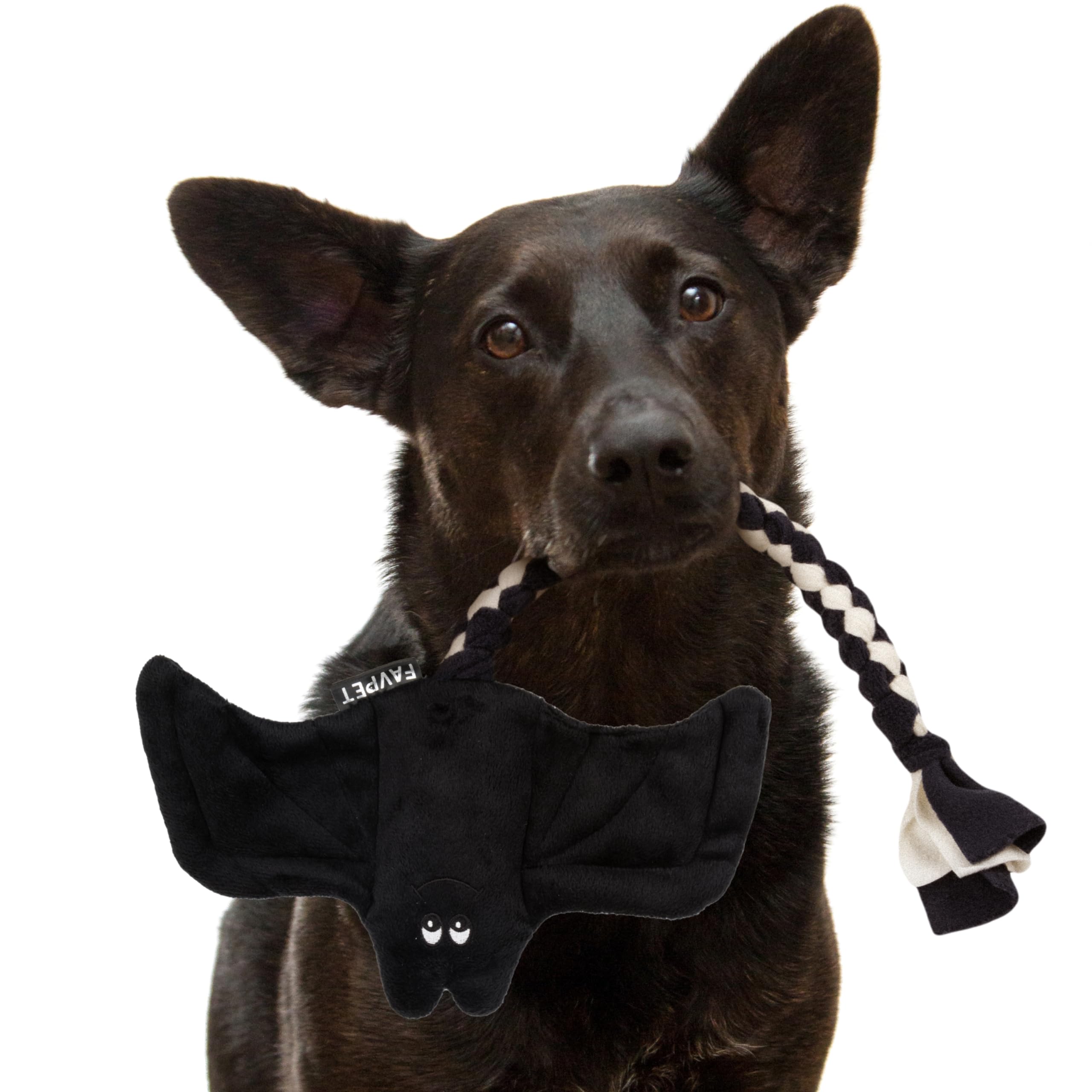 FAVPET Plush Dog Toy Bat, Sturdy Dog Toy Squeaky Big Dogs and Small Dogs Plush Toy, Funny Puppy Plush Toy (Black)