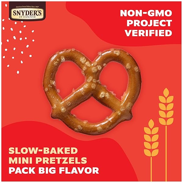 SNYDER’S OF HANOVER MINI PRETZELS, 10 COUNT 0.92 OZ